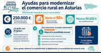 Infograf&iacute;a con informaci&oacute;n destacada de las subvenciones
